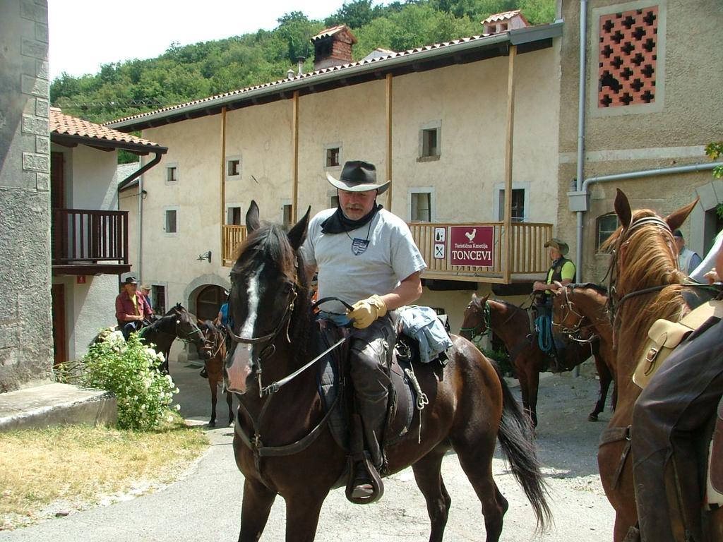 Отель Toncevi Eco Estate Branik Экстерьер фото