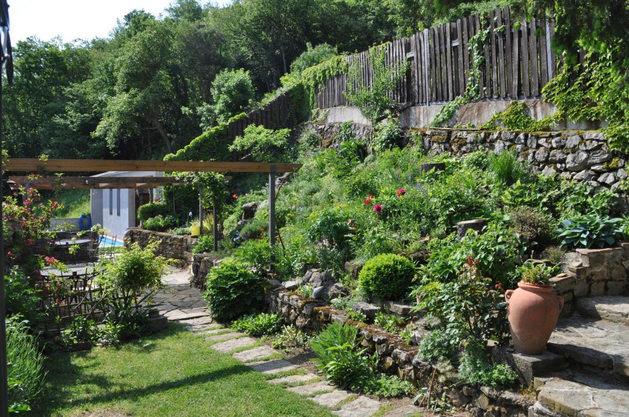 Отель Toncevi Eco Estate Branik Экстерьер фото